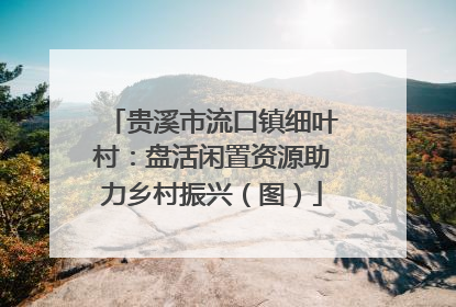 贵溪市流口镇细叶村：盘活闲置资源助力乡村振兴（图）