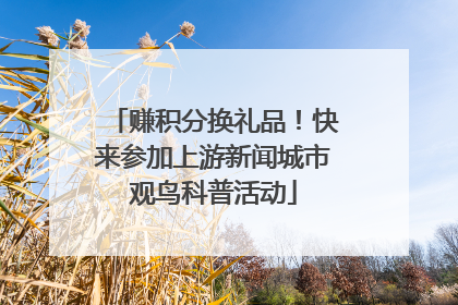 赚积分换礼品！快来参加上游新闻城市观鸟科普活动