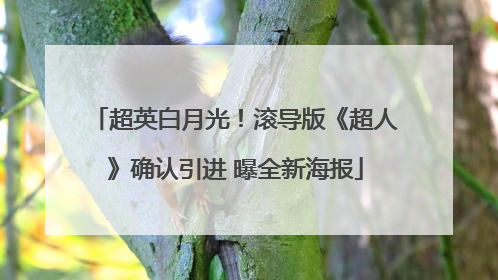 超英白月光！滚导版《超人》确认引进 曝全新海报