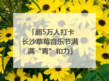 超5万人打卡 长沙草莓音乐节满满“青”和力
