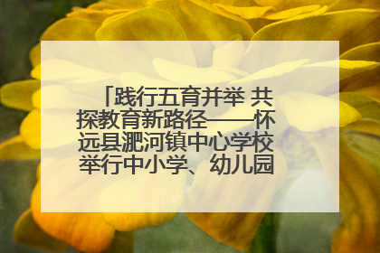 践行五育并举 共探教育新路径——怀远县淝河镇中心学校举行中小学、幼儿园班主任论坛活动