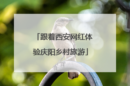 跟着西安网红体验庆阳乡村旅游