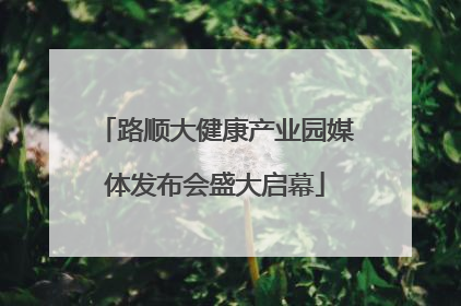 路顺大健康产业园媒体发布会盛大启幕