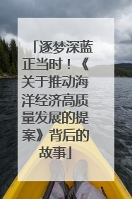 逐梦深蓝正当时！《关于推动海洋经济高质量发展的提案》背后的故事
