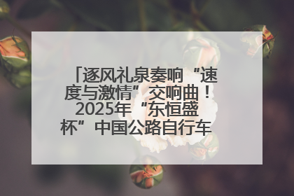 逐风礼泉奏响“速度与激情”交响曲！2025年“东恒盛杯”中国公路自行车联赛第五站（陕西·礼泉站）正式开赛
