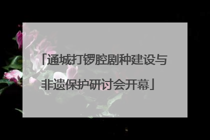 通城打锣腔剧种建设与非遗保护研讨会开幕