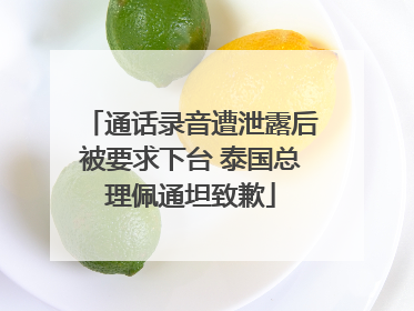 通话录音遭泄露后被要求下台 泰国总理佩通坦致歉