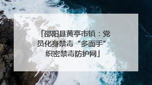 邵阳县黄亭市镇：党员化身禁毒“多面手” 织密禁毒防护网