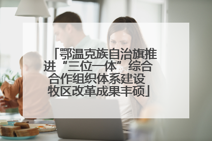 鄂温克族自治旗推进“三位一体”综合合作组织体系建设 牧区改革成果丰硕