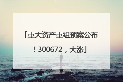 重大资产重组预案公布！300672，大涨