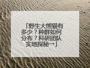 野生大熊猫有多少？种群如何分布？科研团队实地探秘→