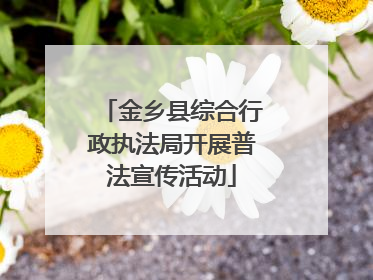 金乡县综合行政执法局开展普法宣传活动