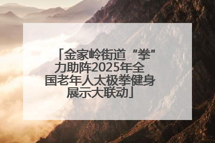 金家岭街道“拳”力助阵2025年全国老年人太极拳健身展示大联动