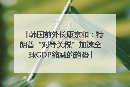 韩国前外长康京和：特朗普“对等关税”加速全球GDP缩减的趋势