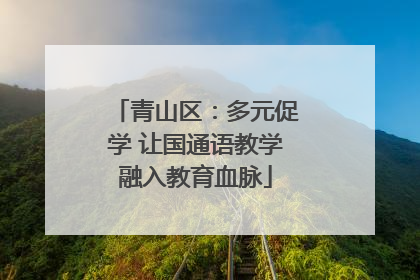 青山区：多元促学 让国通语教学融入教育血脉