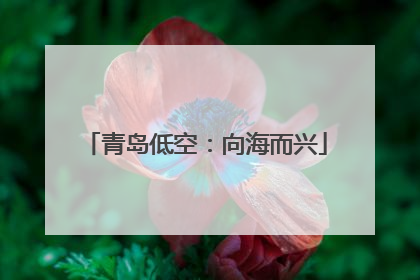 青岛低空：向海而兴
