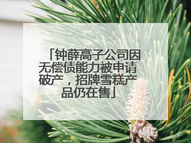钟薛高子公司因无偿债能力被申请破产，招牌雪糕产品仍在售