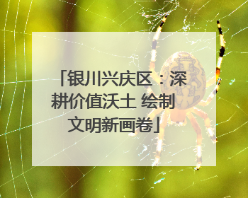 银川兴庆区：深耕价值沃土 绘制文明新画卷