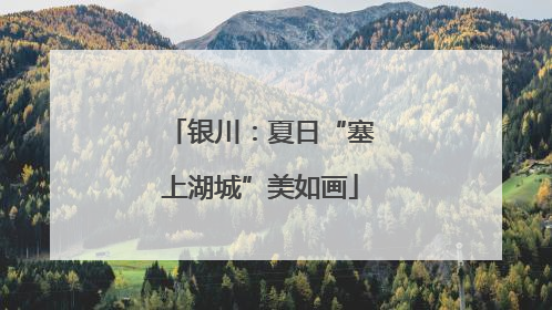 银川：夏日“塞上湖城”美如画