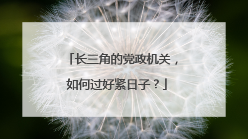 长三角的党政机关，如何过好紧日子？