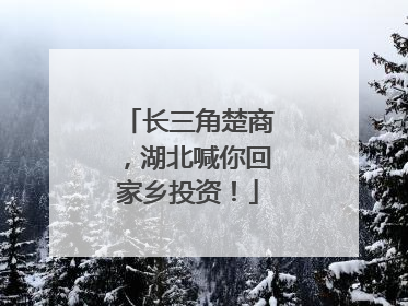长三角楚商，湖北喊你回家乡投资！