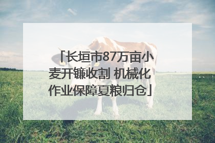 长垣市87万亩小麦开镰收割 机械化作业保障夏粮归仓