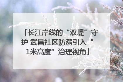 长江岸线的“双堤”守护 武昌社区防溺引入“1米高度”治理视角