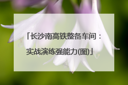 长沙南高铁整备车间：实战演练强能力(图)