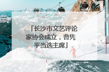 长沙市文艺评论家协会成立，曹隽平当选主席