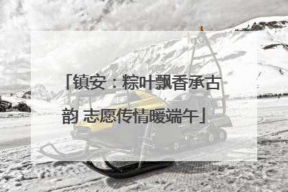 镇安：粽叶飘香承古韵 志愿传情暖端午
