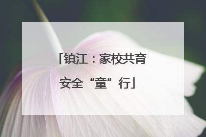 镇江：家校共育 安全“童”行