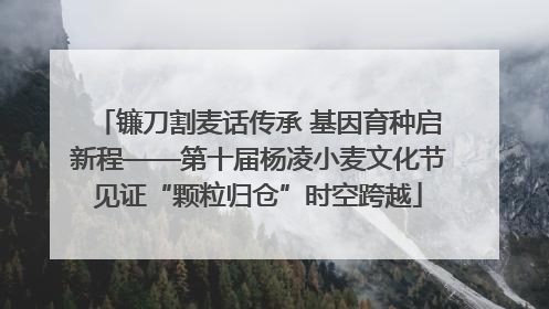镰刀割麦话传承 基因育种启新程——第十届杨凌小麦文化节见证“颗粒归仓”时空跨越