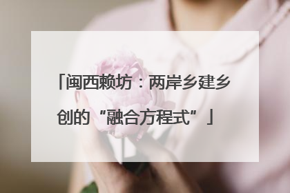 闽西赖坊：两岸乡建乡创的“融合方程式”
