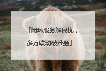 闭环服务解民忧，多方联动破难题