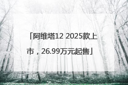 阿维塔12 2025款上市，26.99万元起售