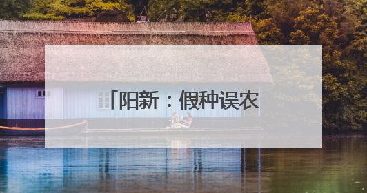 阳新：假种误农急煞人 千斤良种送来“及时雨”