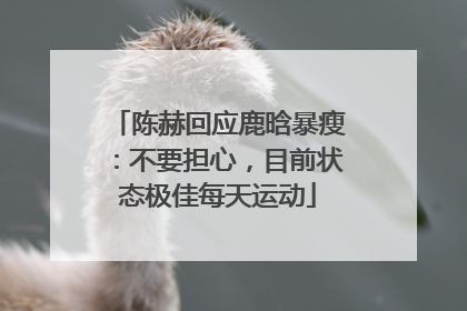 陈赫回应鹿晗暴瘦：不要担心，目前状态极佳每天运动