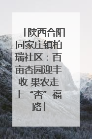 陕西合阳同家庄镇柏瑞社区：百亩杏园迎丰收 果农走上“杏”福路