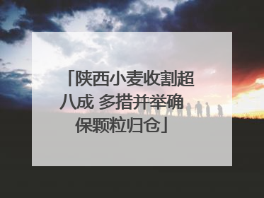 陕西小麦收割超八成 多措并举确保颗粒归仓