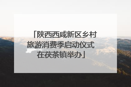 陕西西咸新区乡村旅游消费季启动仪式在茯茶镇举办