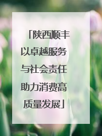 陕西顺丰以卓越服务与社会责任助力消费高质量发展