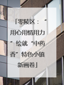 零陵区：“用心用情用力”绘就“中药香”特色小镇新画卷