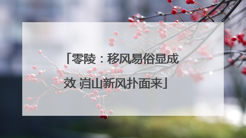 零陵：移风易俗显成效 岿山新风扑面来