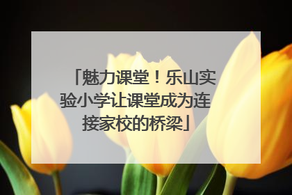 魅力课堂！乐山实验小学让课堂成为连接家校的桥梁