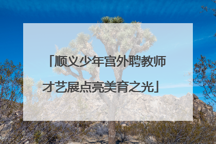 顺义少年宫外聘教师才艺展点亮美育之光