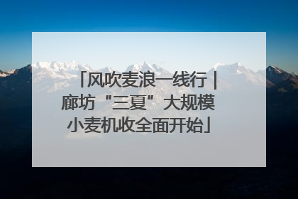 风吹麦浪一线行｜廊坊“三夏”大规模小麦机收全面开始