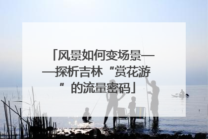 风景如何变场景——探析吉林“赏花游”的流量密码