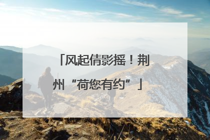 风起倩影摇！荆州“荷您有约”