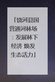 饶河县国营通河林场：发展林下经济 焕发生态活力