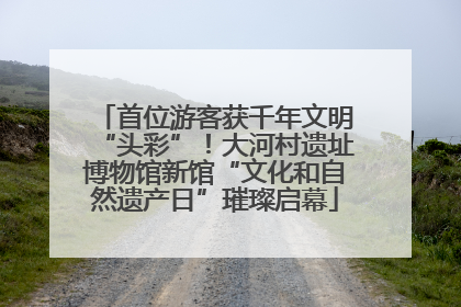 首位游客获千年文明“头彩”！大河村遗址博物馆新馆“文化和自然遗产日”璀璨启幕